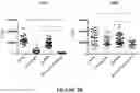 Fig. 07 - Method for the in vitro prognosis of individuals having multiple myeloma and method for the treatment thereof