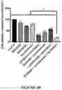 Fig. 09 - Method for the in vitro prognosis of individuals having multiple myeloma and method for the treatment thereof