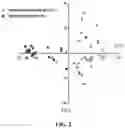 Fig. 03 - METHOD OF DISTINGUISHING LIPOSARCOMA FROM NON-LIPOSARCOMA