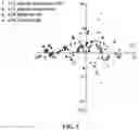 Fig. 06 - METHOD OF DISTINGUISHING LIPOSARCOMA FROM NON-LIPOSARCOMA