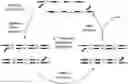 Fig. 01 - Methods of Amplifying DNA to Maintain Methylation Status