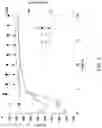 Fig. 02 - Alloy for a fibre-forming plate