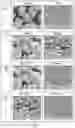 Fig. 02 - High strength and erosion resistant powder blends