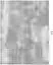 Fig. 03 - Lead free steel