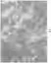 Fig. 05 - Lead free steel