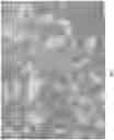 Fig. 06 - Lead free steel