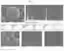 Fig. 03 - IRON-COPPER ALLOY HAVING HIGH THERMAL CONDUCTIVITY AND METHOD FOR MANUFACTURING THE SAME