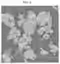 Fig. 06 - IRON-COPPER ALLOY HAVING HIGH THERMAL CONDUCTIVITY AND METHOD FOR MANUFACTURING THE SAME