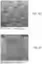 Fig. 06 - Low permeability and high strength woven fabric and methods of making the same
