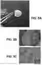 Fig. 06 - Bioinspired mineralization for geotechnical substructures