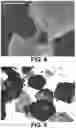 Fig. 08 - Bioinspired mineralization for geotechnical substructures