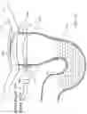 Fig. 14 - Hybrid trap with water injection
