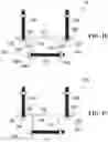 Fig. 30 - Adjustable anchor for curtain-wall system