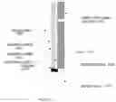 Fig. 09 - Ventilation screed device and assembly