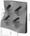 Fig. 02 - ADJUSTABLE CAP FOR COLUMN FOUNDATION
