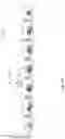 Fig. 13 - Drilling devices and methods of operating the same