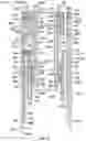 Fig. 14 - Running tool and control line systems and methods