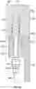 Fig. 17 - Running tool and control line systems and methods