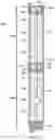 Fig. 03 - Detonator assembly for transportable wellbore perforator