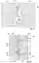 Fig. 12 - Additively manufactured nested segment assemblies for turbine engines