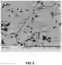 Fig. 06 - ABRADABLE COATING FOR COMPONENTS IN HIGH-TEMPERATURE MECHANICAL SYSTEMS