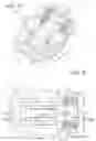 Fig. 19 - ROCKER ARM ASSEMBLY AND COMPONENTS THEREFOR