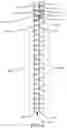 Fig. 07 - Vernier permanent magnet linear generator