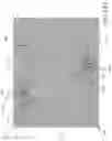 Fig. 20 - Microelectromechanical systems fabricated with roll to roll processing