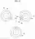 Fig. 12 - CO-ROTATING SCROLL COMPRESSOR