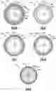 Fig. 06 - Ballistic resistant drive shaft