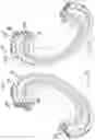 Fig. 64 - Power transmission elements, torque measuring device and freewheel assembly
