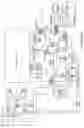 Fig. 17 - Multiple linked appliance with auxiliary outlet