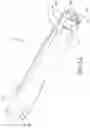 Fig. 12 - Bolt for bolt action rifles