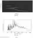 Fig. 03 - Interferometry with pulse broadened diode laser