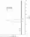 Fig. 08 - Multiple sample differential scanning calorimeter