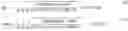 Fig. 06 - Vibratory cavity density meter