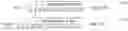 Fig. 10 - Vibratory cavity density meter