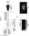 Fig. 29 - FLUIDIC FLOW CYTOMETRY DEVICES AND PARTICLE SENSING BASED ON SIGNAL-ENCODING