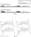 Fig. 02 - DNA analysis method and DNA analysis apparatus using terahertz wave