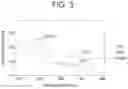 Fig. 04 - OPTICAL MEMBER, LIGHT MEASURING DEVICE, SAMPLE HOLDING MEMBER, LIGHT MEASURING SYSTEM AND SPECIFIC WAVELENGTH LIGHT GATHERING MEMBER
