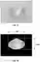 Fig. 09 - Apparatus and method for fluorescence grading of gemstones