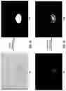 Fig. 11 - Apparatus and method for fluorescence grading of gemstones