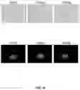 Fig. 16 - Apparatus and method for fluorescence grading of gemstones