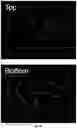 Fig. 20 - Multi-color imaging using salvaged fluorescence