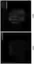 Fig. 34 - Multi-color imaging using salvaged fluorescence