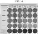 Fig. 05 - SENSOR FOR MEASURING CONCENTRATION OF OBJECT SUBSTANCE BY COLOR CHANGE, SENSING SYSTEM COMPRISING SAME, AND METHOD FOR MANUFACTURING SAME SENSOR