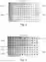 Fig. 05 - GAS SORPTION SCREENING