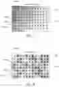 Fig. 06 - GAS SORPTION SCREENING