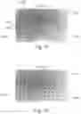 Fig. 08 - GAS SORPTION SCREENING