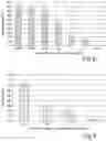 Fig. 06 - Ferrocene labels for electrochemical assay and their use in analytical methods